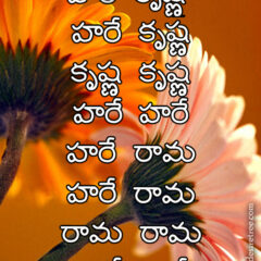 Hare Krishna Maha Mantra in Telugu 017