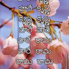 Hare Krishna Maha Mantra in Telugu 025