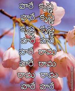 Hare Krishna Maha Mantra in Telugu 025