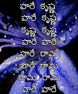 Hare Krishna Maha Mantra in Telugu 029