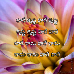Hare Krishna Maha Mantra in Telugu 006