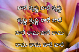 Hare Krishna Maha Mantra in Telugu 006