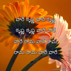 Hare Krishna Maha Mantra in Telugu 017