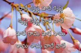 Hare Krishna Maha Mantra in Telugu 025