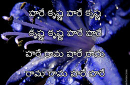 Hare Krishna Maha Mantra in Telugu 029