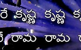 Hare Krishna Maha Mantra in Telugu 029