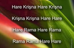 Hare Krishna Maha Mantra in Turkmen 006