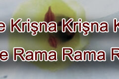 Hare Krishna Maha Mantra in Turkmen 004