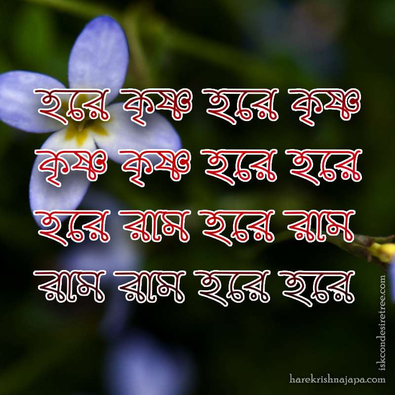 Krishna