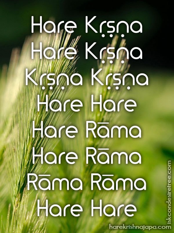 Krishna