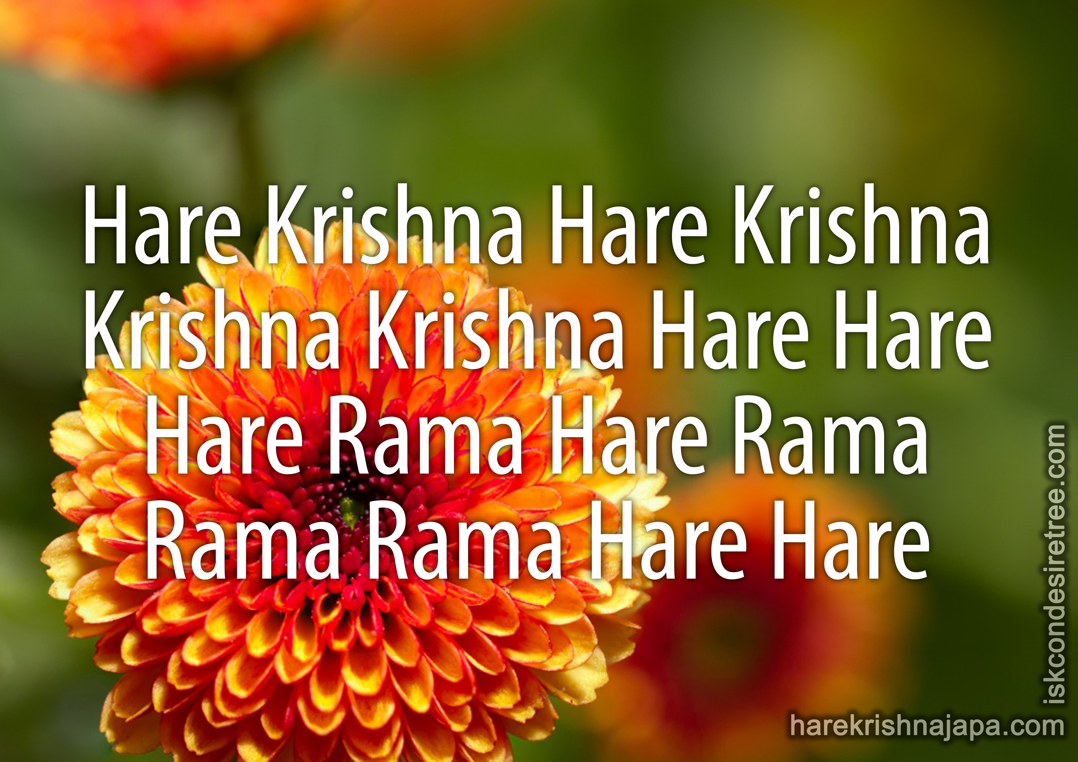 Hare Rama Hare Krishna - Maha Mantra With Lyrics - Rajalakshmee