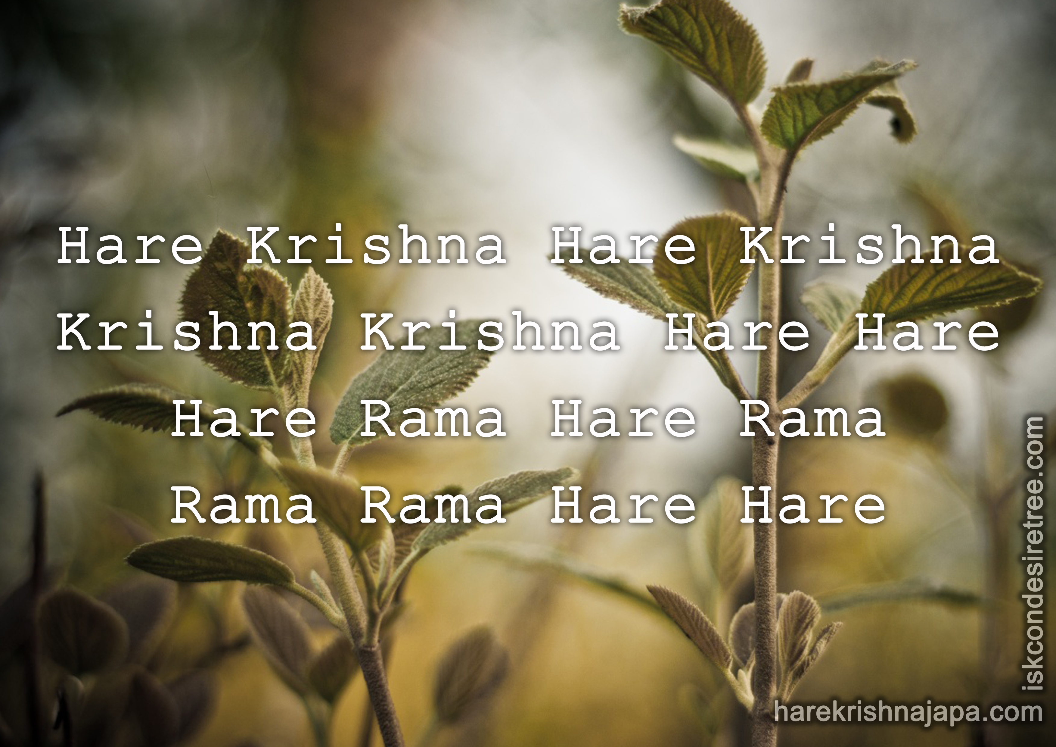 Hare Rama Hare Krishna - Maha Mantra With Lyrics - Rajalakshmee