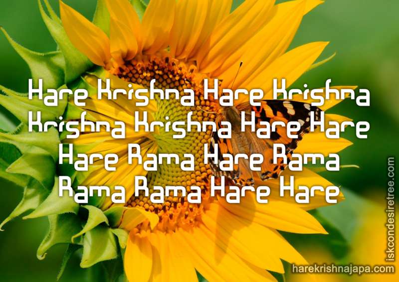 Krishna