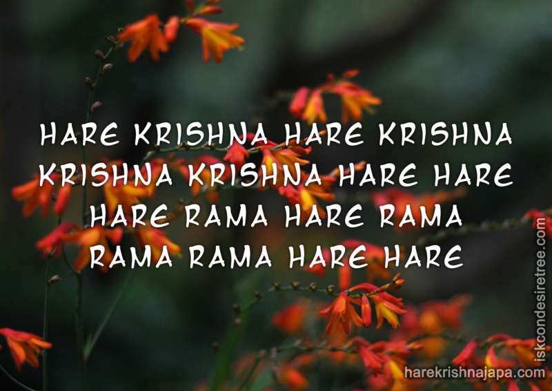 Krishna
