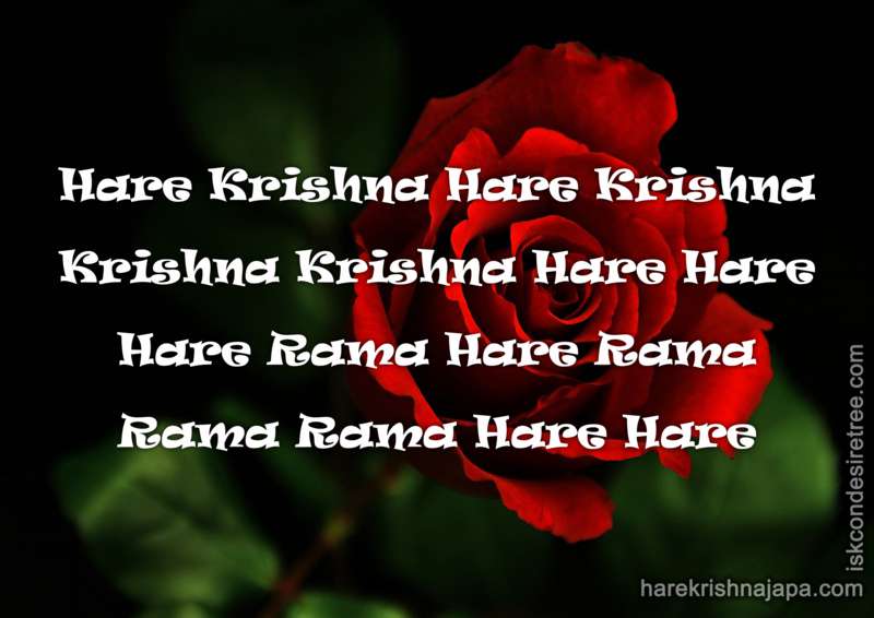 Krishna