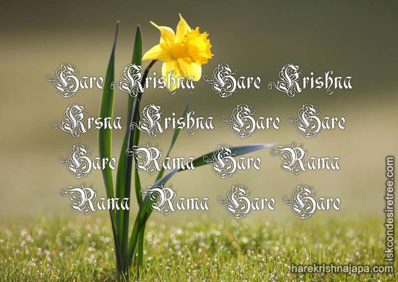 Krishna