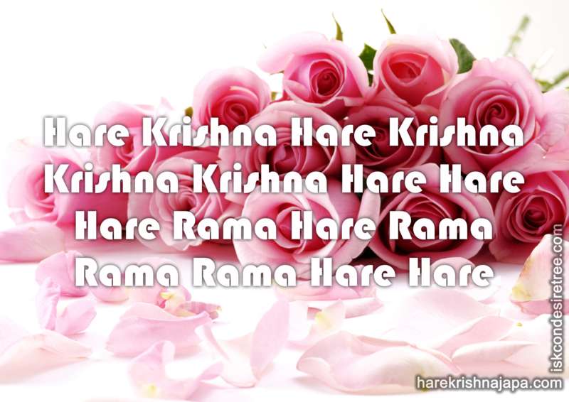Krishna