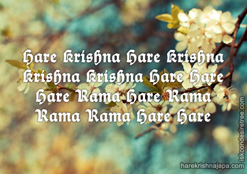 Krishna
