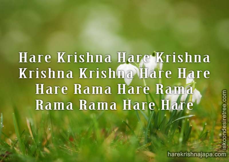 Krishna