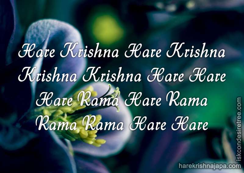 Krishna