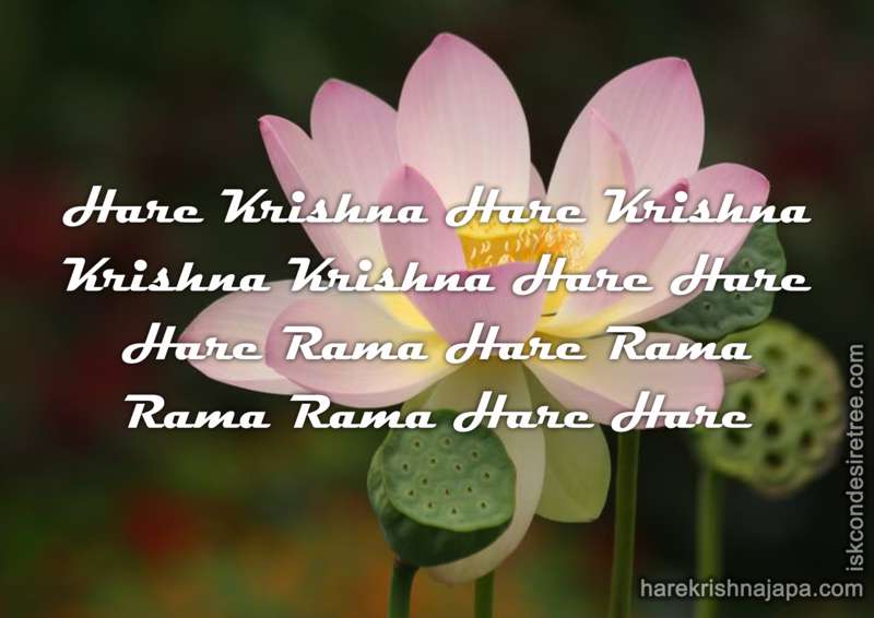 Krishna