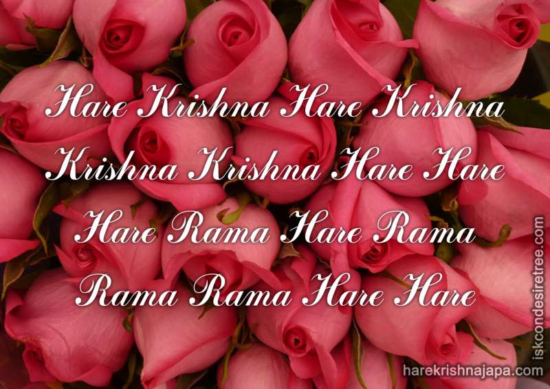 Krishna