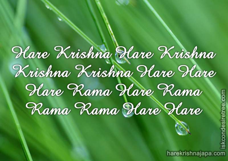 Krishna