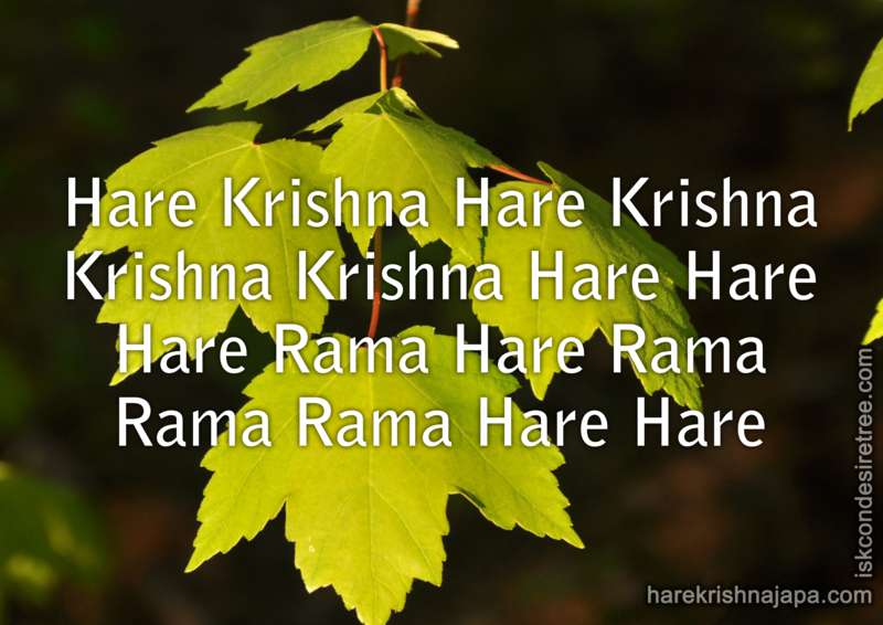 Krishna