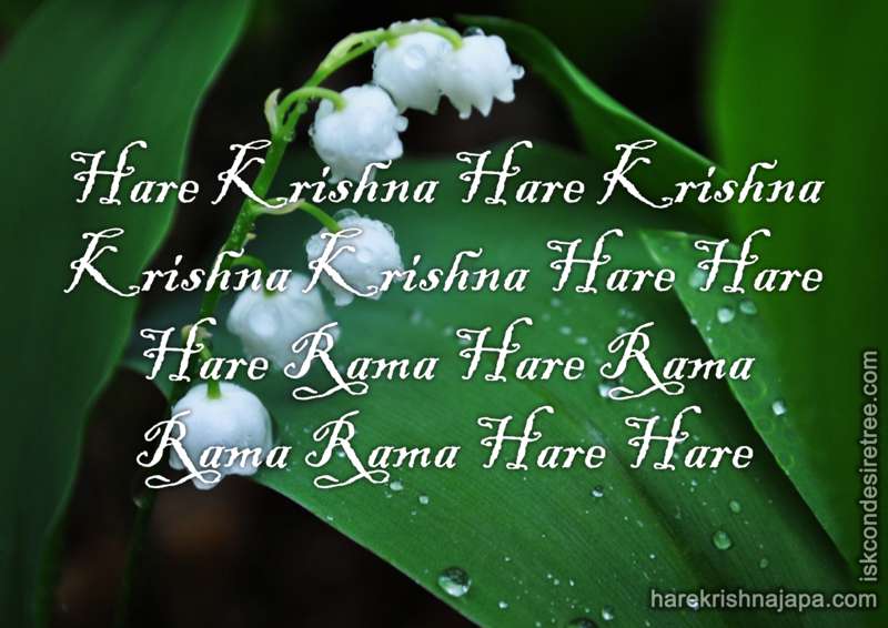Krishna