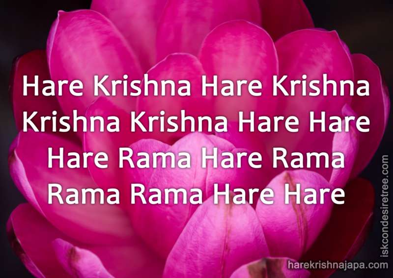 Krishna