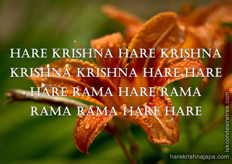 Krishna