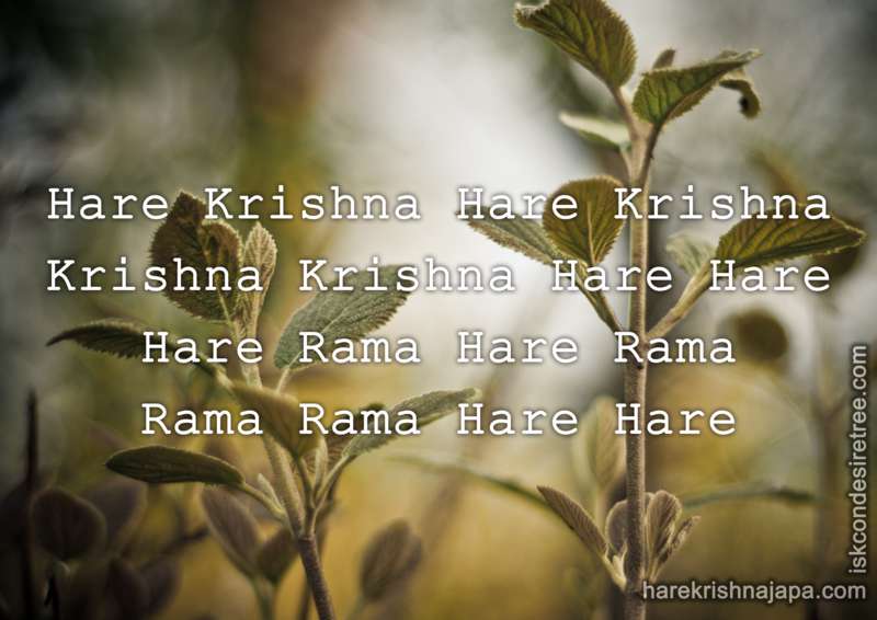 Krishna