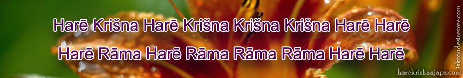 Krishna