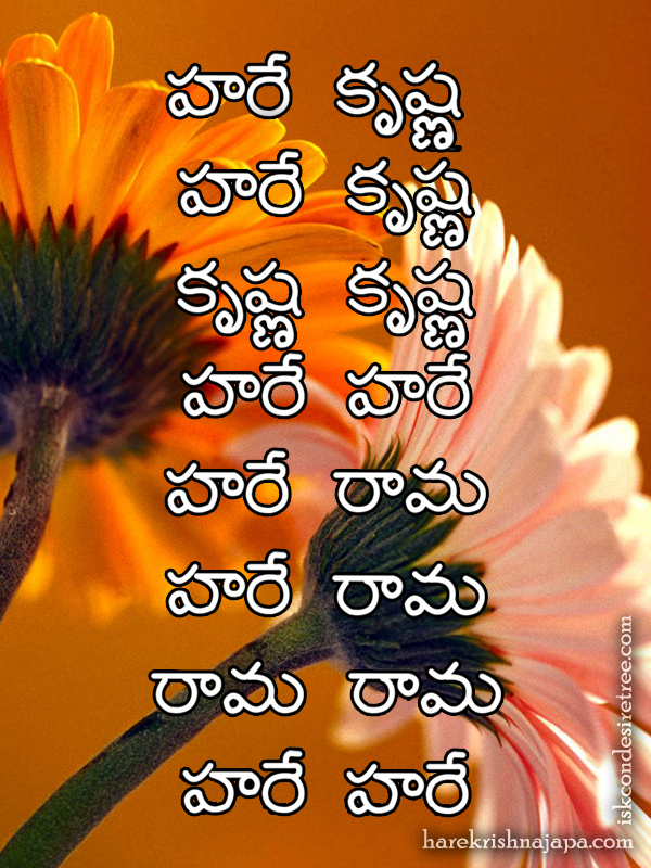 Krishna