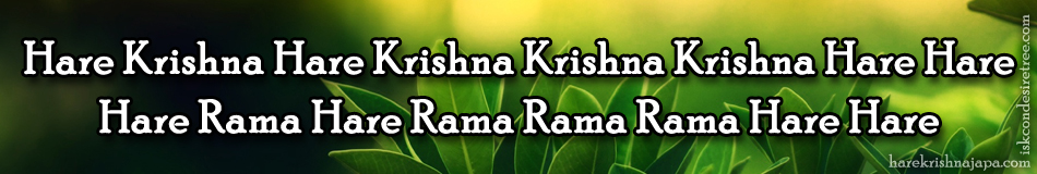 Hare Krishna Hare Krishna Krishna Krishna Hare Hare Hare Rama Hare Rama Rama Rama Hare Hare Krishna
